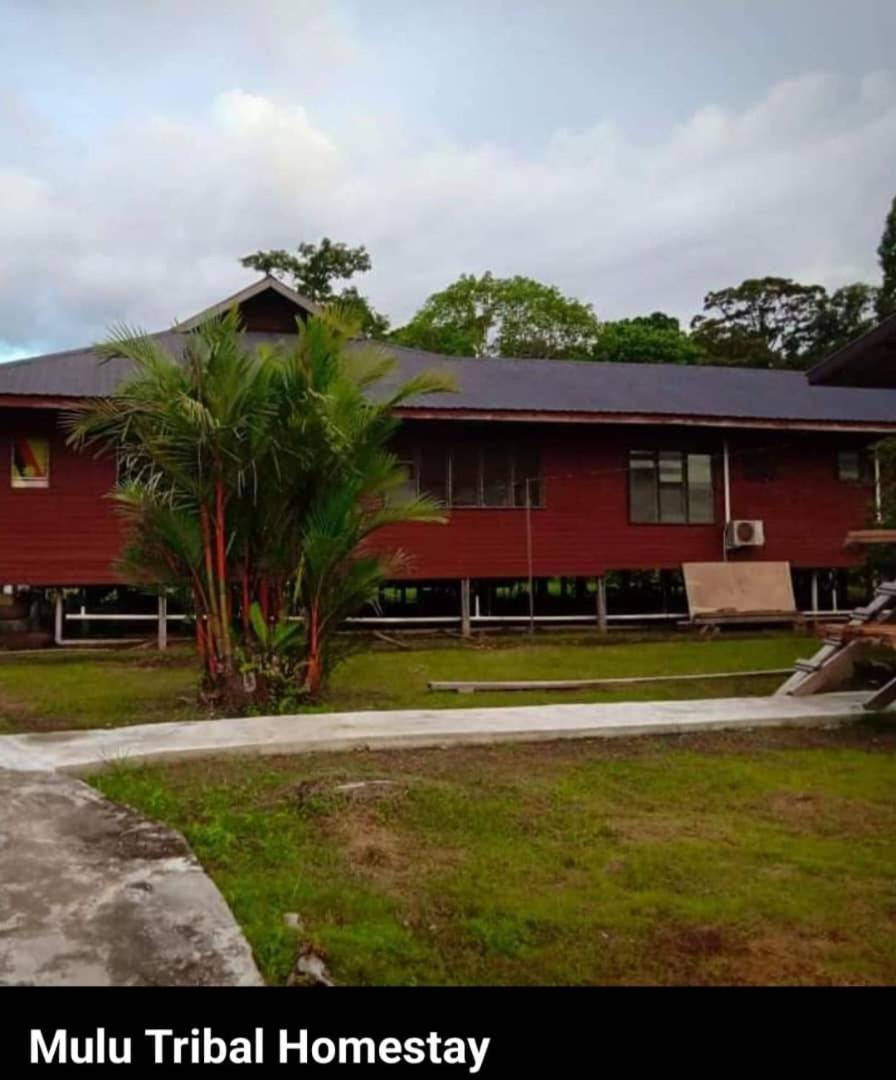 Mulu Tribal Homestay 外观 照片