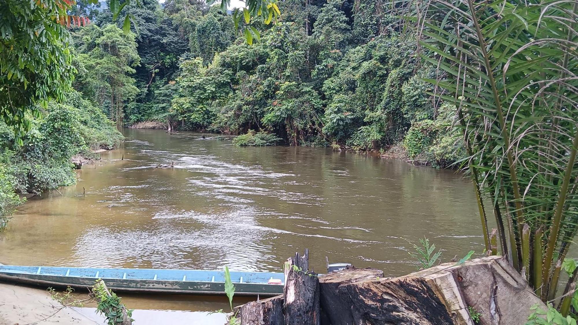 Mulu Tribal Homestay 外观 照片